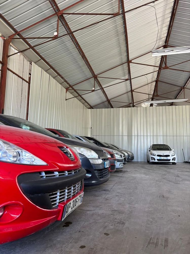 Rangée de véhicules dans le showroom